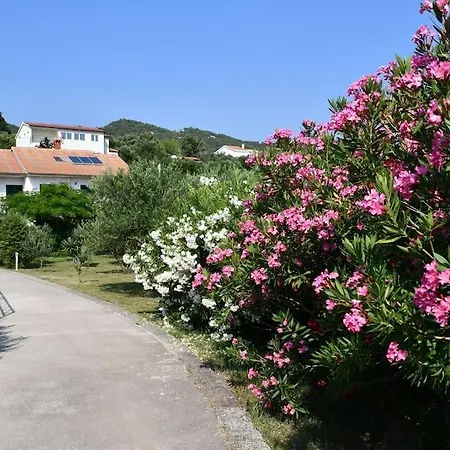 Zdenka Apartment Rab Town